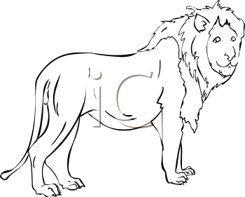 Lion Clipart