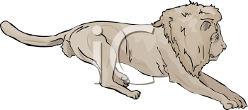 Lion Clipart