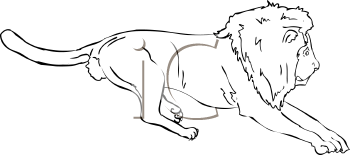 Lion Clipart