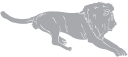 Lion Clipart