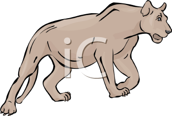 Lion Clipart