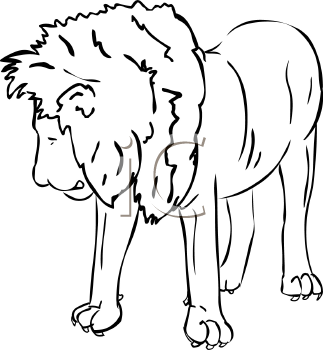 Lion Clipart