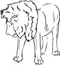 Lion Clipart