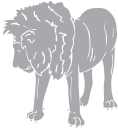 Lion Clipart