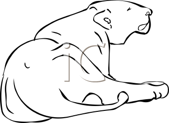 Lion Clipart