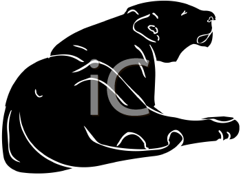 Lion Clipart