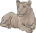 Lion Clipart