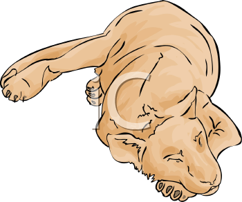 Lion Clipart