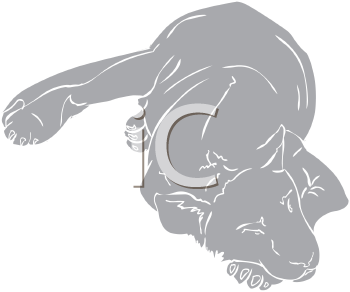 Lion Clipart