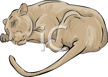 Lion Clipart