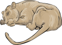 Lion Clipart