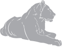 Lion Clipart