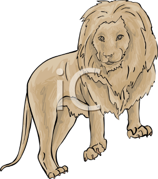 Lion Clipart