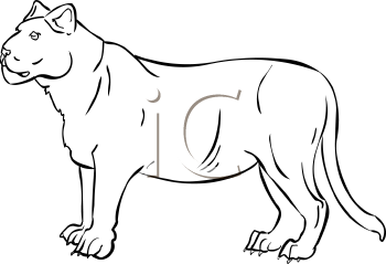 Lion Clipart