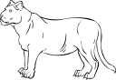 Lion Clipart