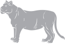 Lion Clipart