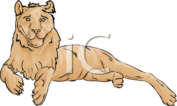 Lion Clipart