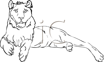 Lion Clipart