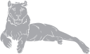 Lion Clipart