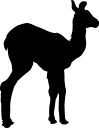 Llama Clipart