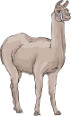 Llama Clipart