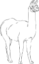 Llama Clipart