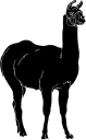 Llama Clipart