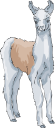 Llama Clipart