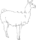 Llama Clipart