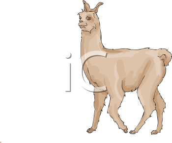 Royalty Free Llama Clipart