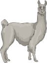 Llama Clipart