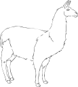 Llama Clipart