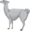 Llama Clipart