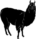 Llama Clipart