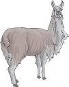 Llama Clipart