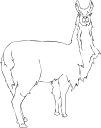 Llama Clipart