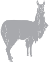 Llama Clipart