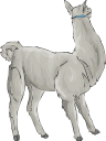 Llama Clipart