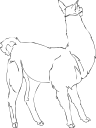 Llama Clipart