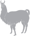 Llama Clipart