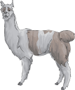 Llama Clipart