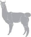 Llama Clipart