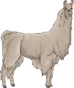 Llama Clipart