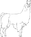 Llama Clipart