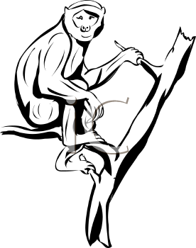 Monkey Clipart