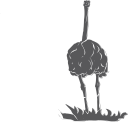 Ostrich Clipart