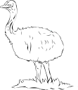 Ostrich Clipart