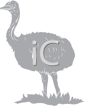 Ostrich Clipart