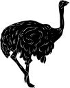 Ostrich Clipart