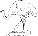 Ostrich Clipart